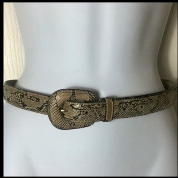 Authentic Python Belt by WCM New York - Picture 1 of 5